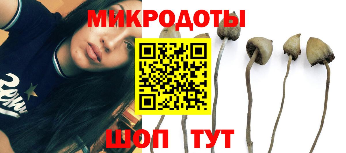 как найти   Галлюциногенные грибы прущие грибы  Вход с VPN  Миллерово 