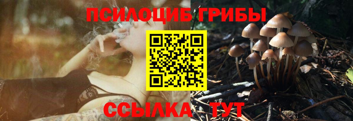 Галлюциногенные грибы Psilocybe Миллерово